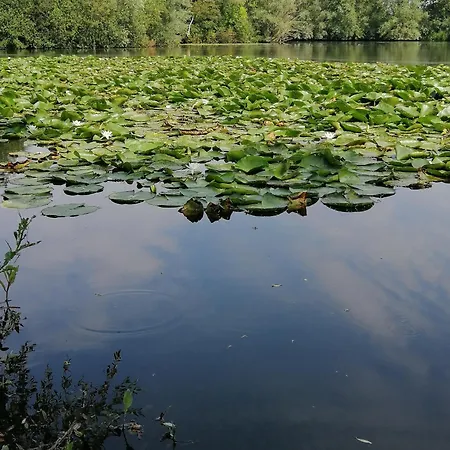 De La Muissens
